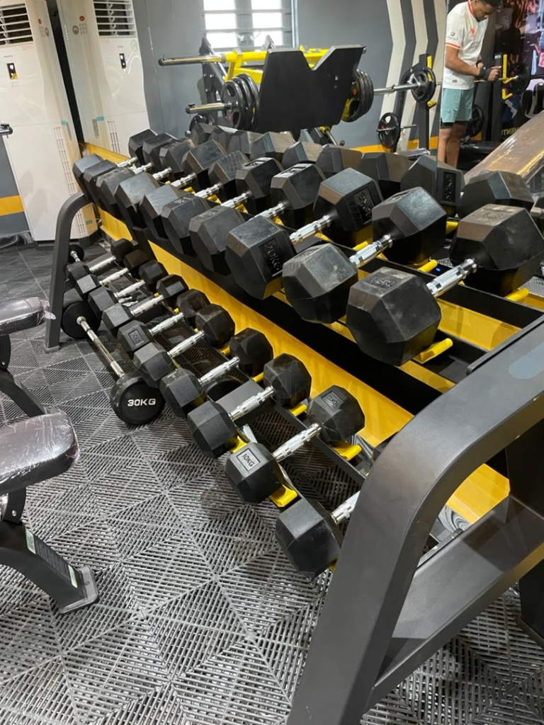 Gym Equipment